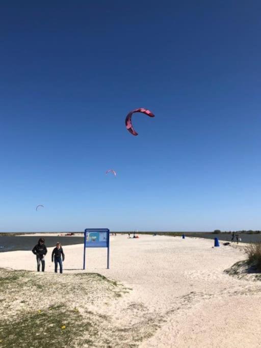 Gezellige Pipo Met Grote Schommel Aan Het Water Villa Medemblik Kültér fotó