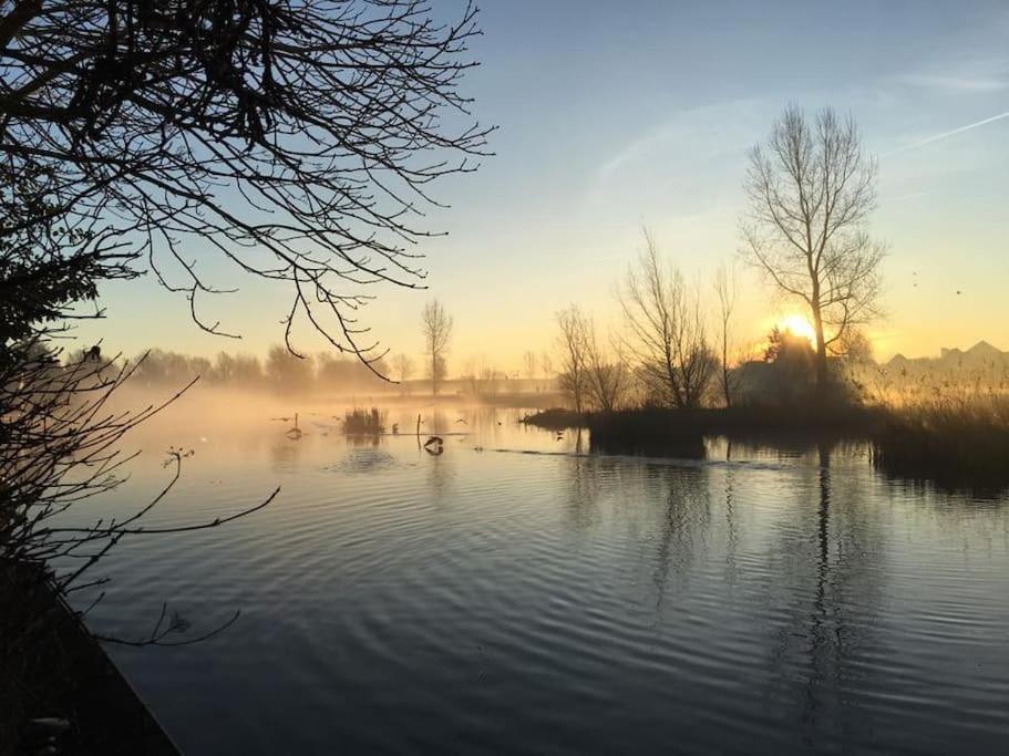 Gezellige Pipo Met Grote Schommel Aan Het Water Villa Medemblik Kültér fotó